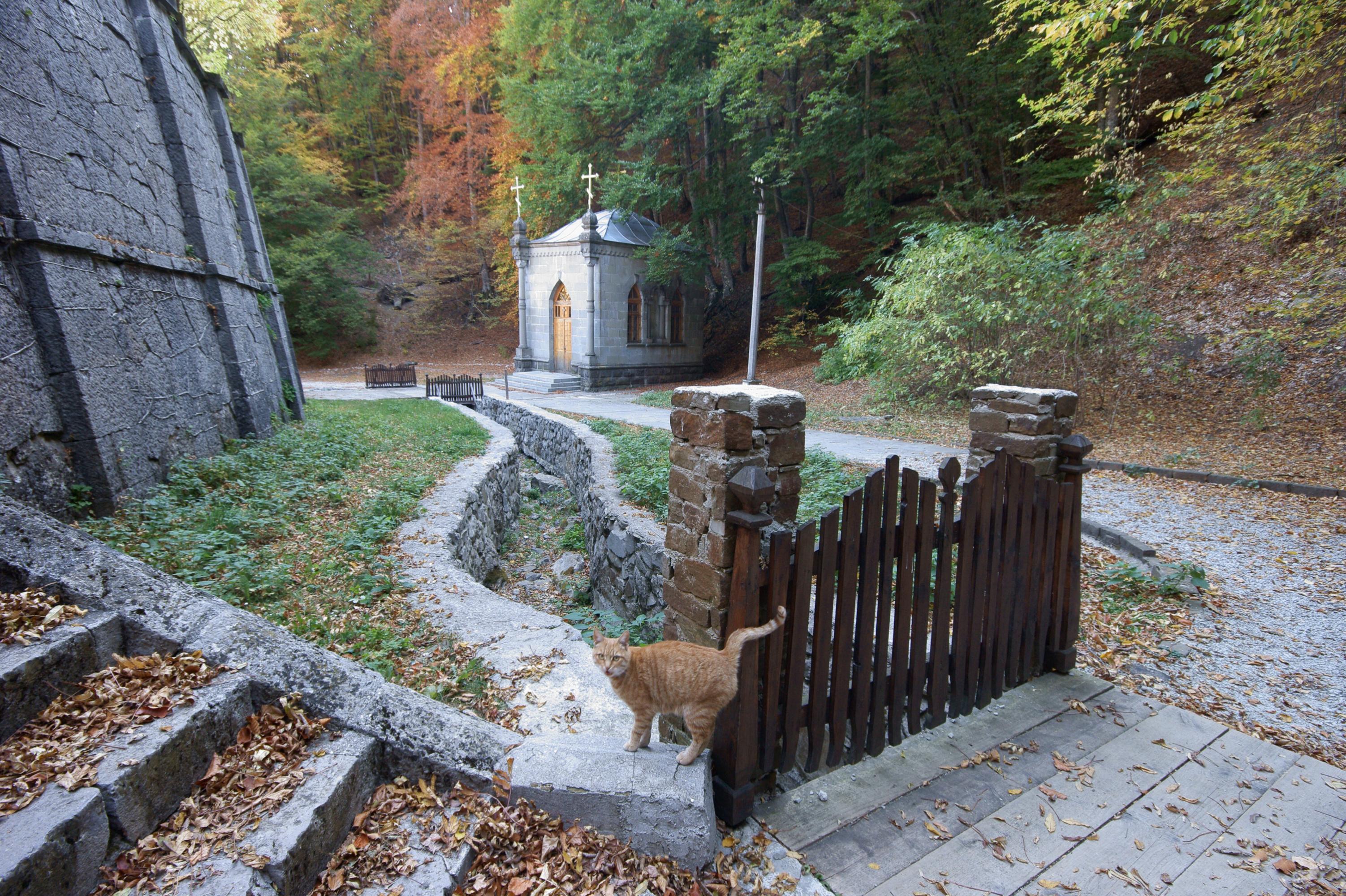Космо-Дамиановский мужской монастырь