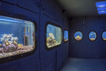Севастопольский морской аквариум-музей