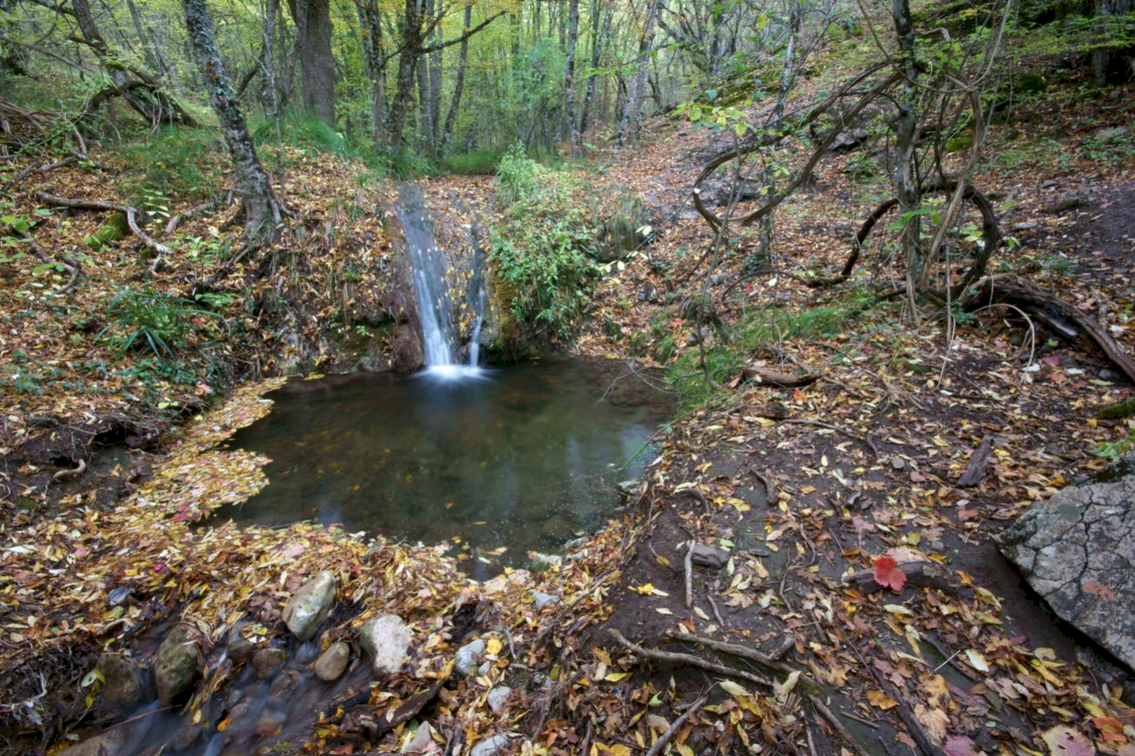 Водопад Гейзер и долина реки Сатера